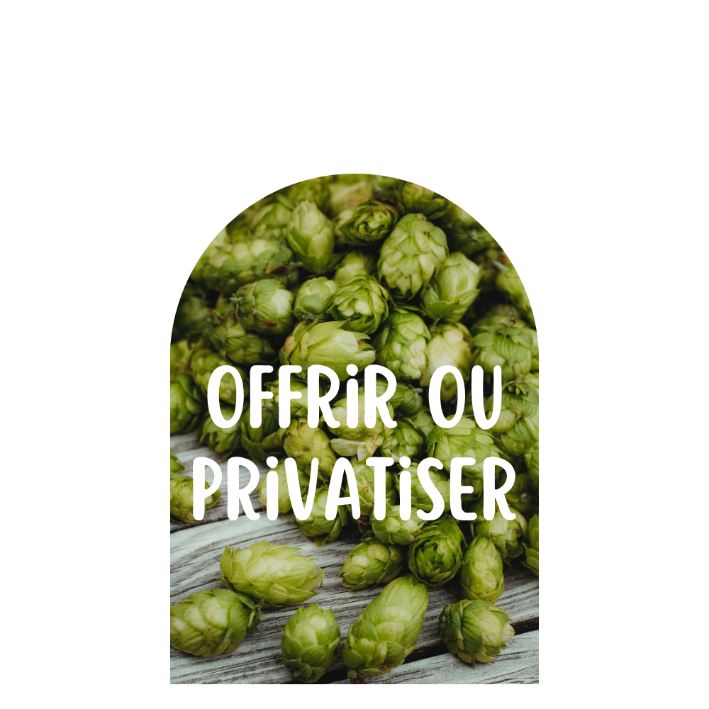 Offrir une carte cadeau ou privatiser le Royal Beer Spa